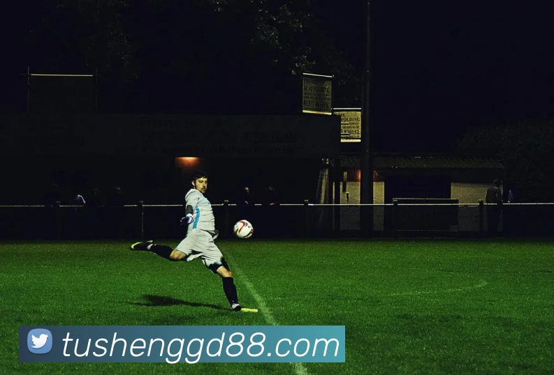 雅博app发展历程